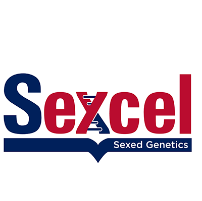 sexcel-logo-croped-1 sexcel-logo-croped-1