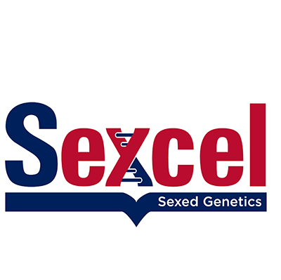 sexcel